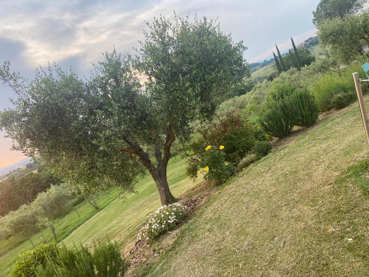 Agriturismo Palazzo Val Del Sasso Villastrada  Exterior photo