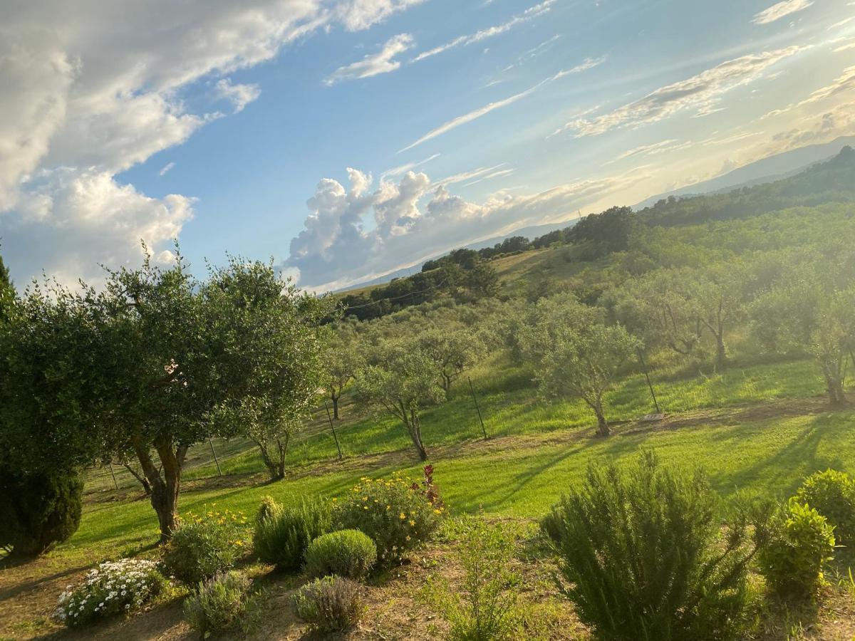 Agriturismo Palazzo Val Del Sasso Villastrada  Exterior photo